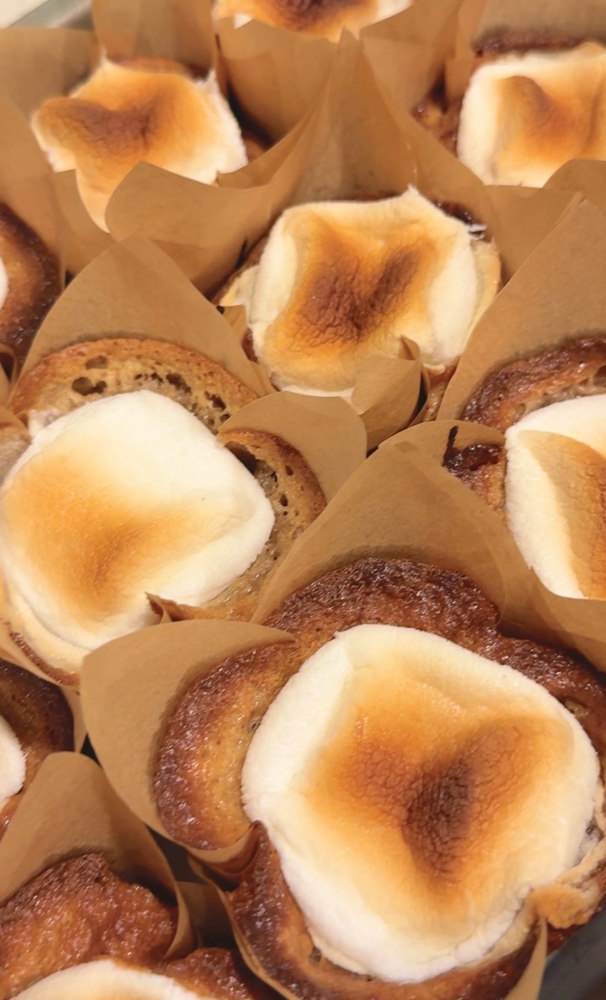 Gourmet S’more Muffins w/ Toasted Marshmallow (16 Muffins)